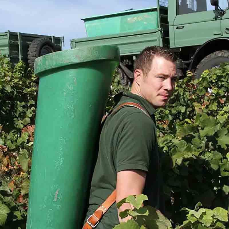 Martin Albrecht bei der Weinlese.