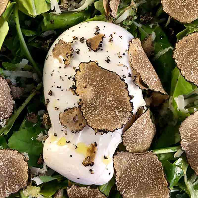 Trüffelcreme mit frischen Trüffelscheiben auf grünem Salat.