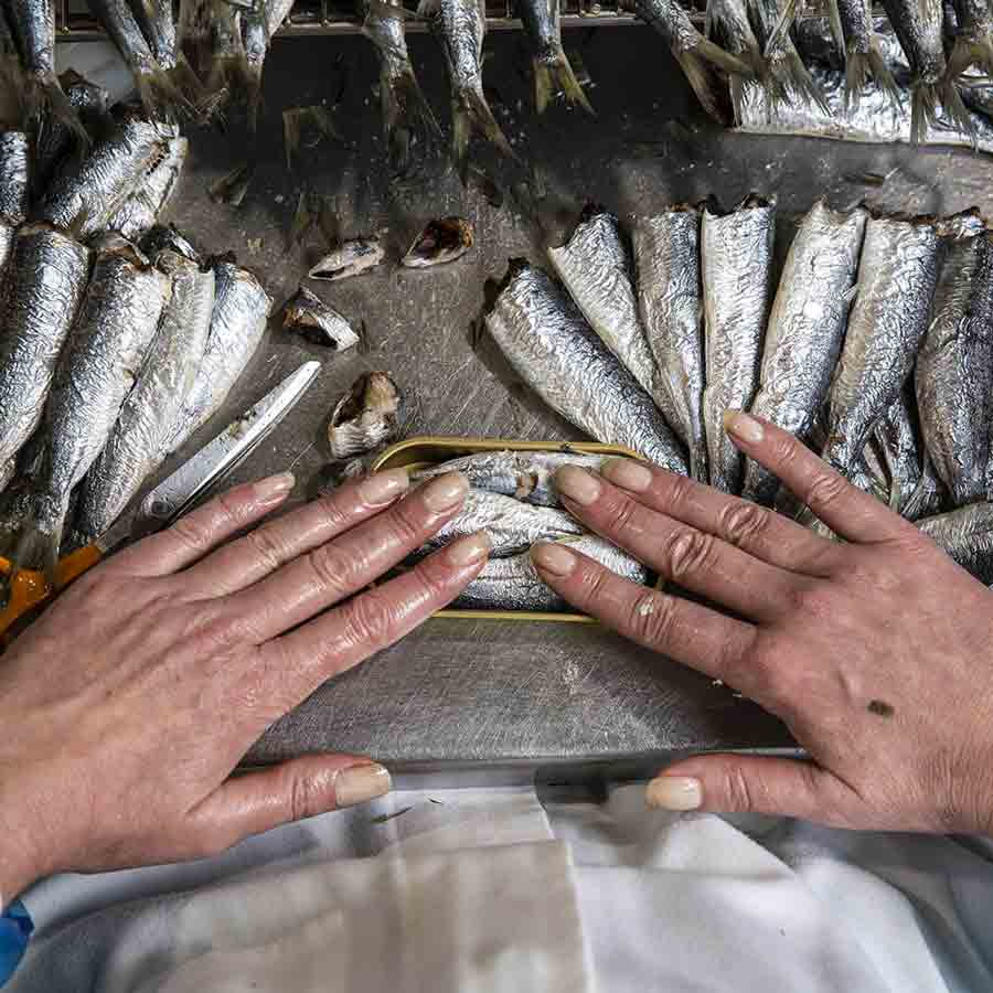 Sardinen mit Tapenade von la-belle-iloise Dose