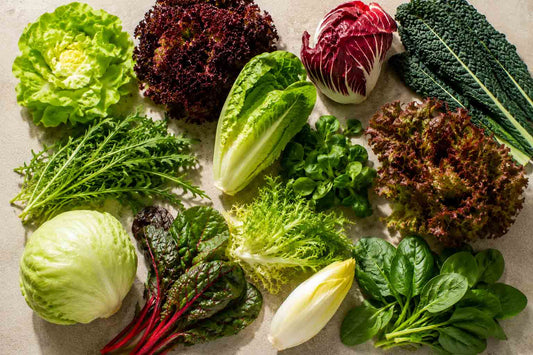 10 Salatsorten: Welche Essige & Öle passen?