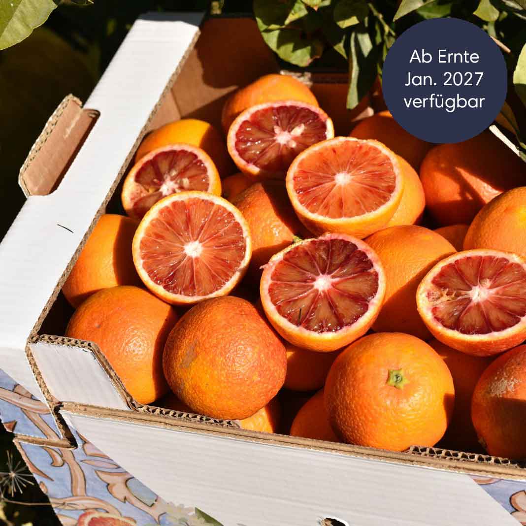 Moro IGP Blutorangen aus Sizilien BIO