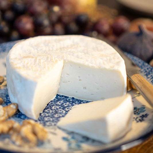 Camembert di capra