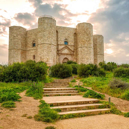 La Spineta - Terra di Bari Castel del Monte DOP - Pellegrino