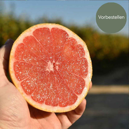 Pink Grapefruit aus Sizilien BIO