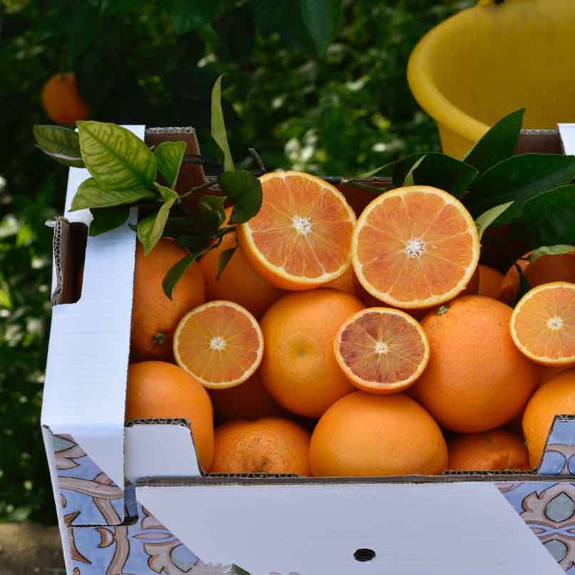 Tarocco Tafelorangen aus Sizilien IGP und BIO
