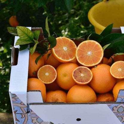 Tarocco Tafelorangen aus Sizilien IGP und BIO