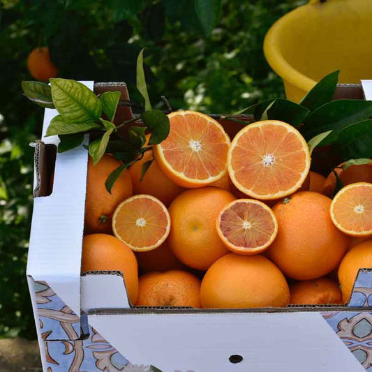 Tarocco Tafelorangen aus Sizilien IGP und BIO