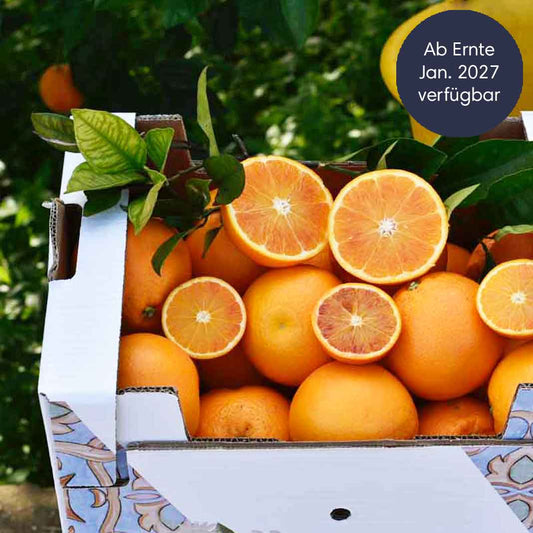 Tarocco Tafelorangen aus Sizilien IGP und BIO
