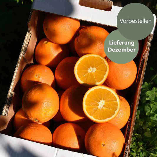 Navel -  BIO Tafelorangen aus Sizilien