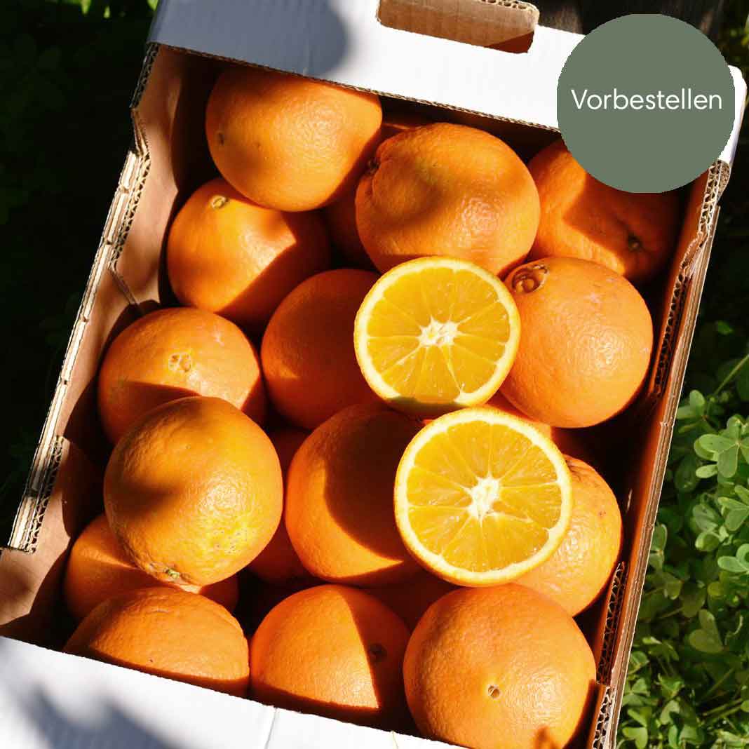 Navel -  BIO Tafelorangen aus Sizilien