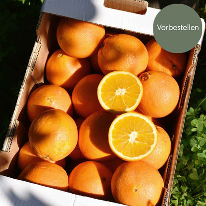 Navel -  BIO Tafelorangen aus Sizilien