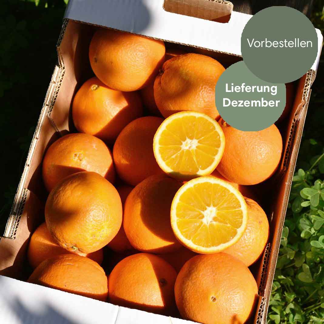 Navel -  BIO Tafelorangen aus Sizilien