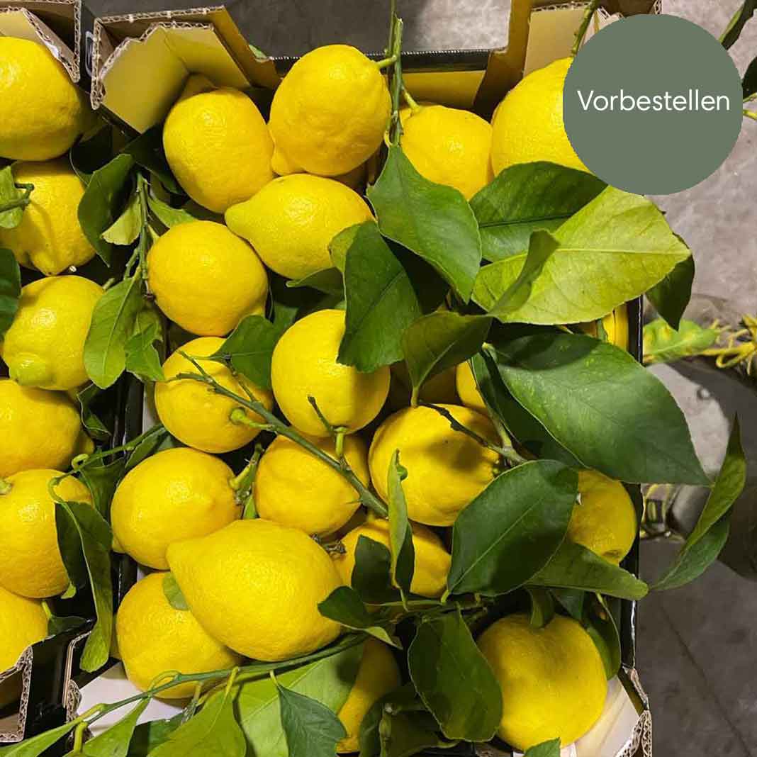 Tarocco Tafelorangen aus Sizilien IGP und BIO