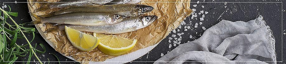 Thunfisch & Sardinen Thunfisch & Sardinen