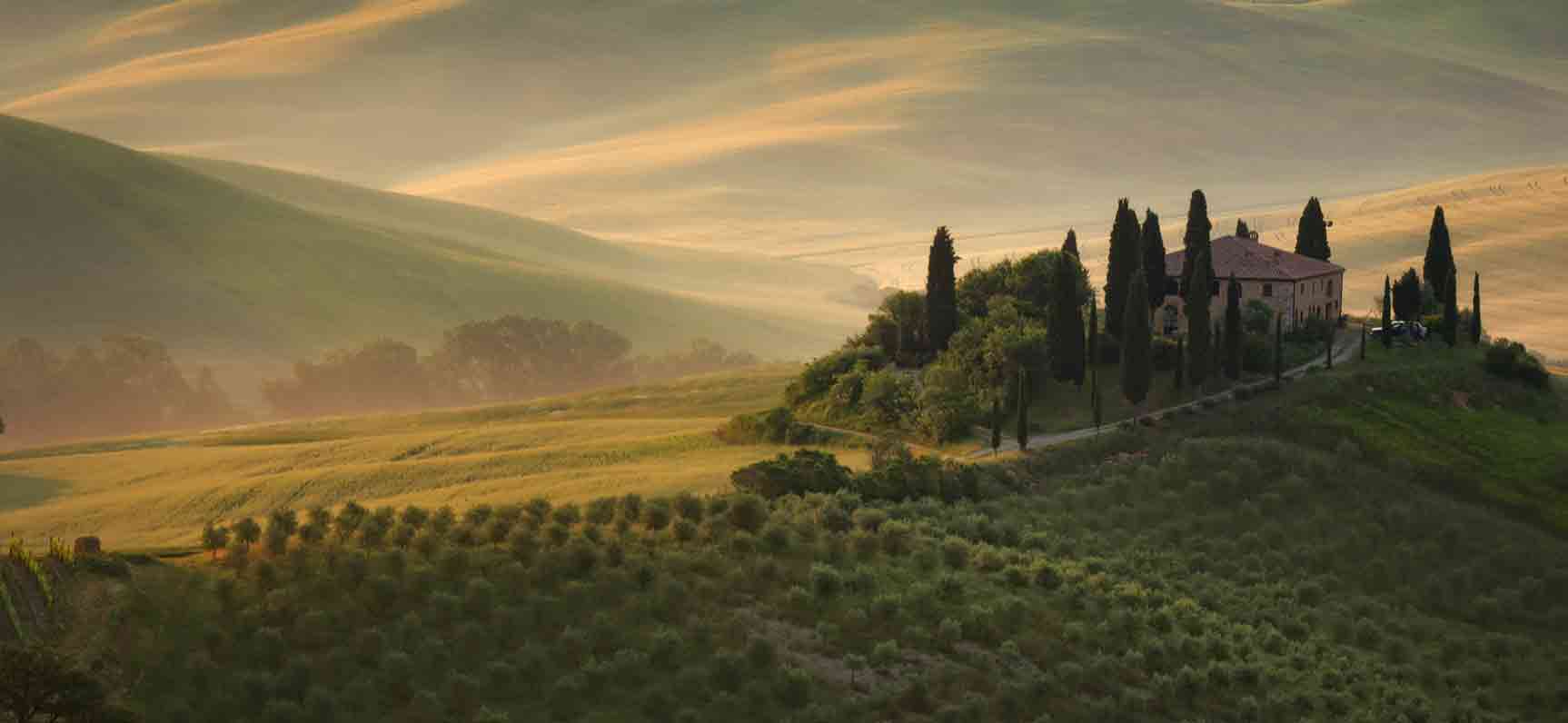 Toskanisches Olivenöl: Der Ursprung der Qualität